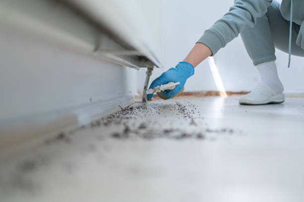 Best Pest Removal Services  in Port Hadlock Irondale, WA